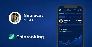 Neuracat